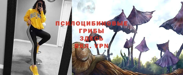 герыч Богородицк